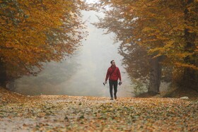 پائیز منطقه کوهستانی فریم صحرا  - استان مازندران