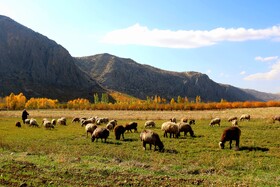 پاییز در روستای دمکره در استان کهکیلویه و بویراحمد