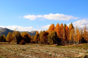 پاییز در روستای دمکره در استان کهکیلویه و بویراحمد