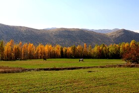 پاییز در روستای دمکره در استان کهکیلویه و بویراحمد