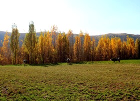 پاییز در روستای دمکره در استان کهکیلویه و بویراحمد