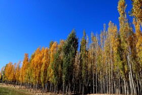 پاییز در روستای دمکره در استان کهکیلویه و بویراحمد