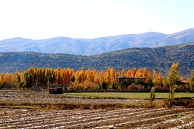 پاییز در روستای دمکره در استان کهکیلویه و بویراحمد