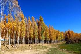 پاییز در روستای دمکره در استان کهکیلویه و بویراحمد