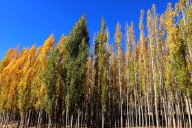 پاییز در روستای دمکره در استان کهکیلویه و بویراحمد