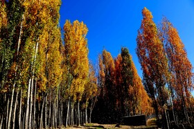 پاییز در روستای دمکره در استان کهکیلویه و بویراحمد