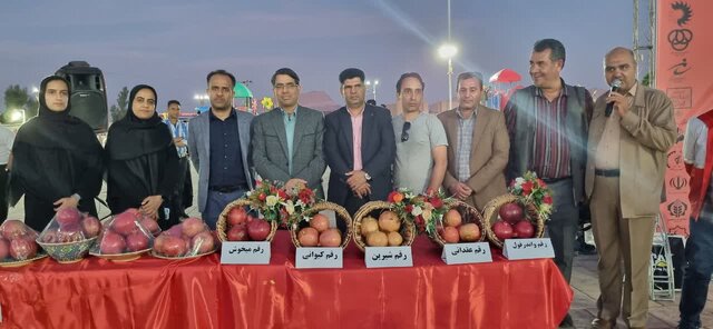 پیشبینی برداشت ۱۸۰۰ تن انار در شهرستان راور