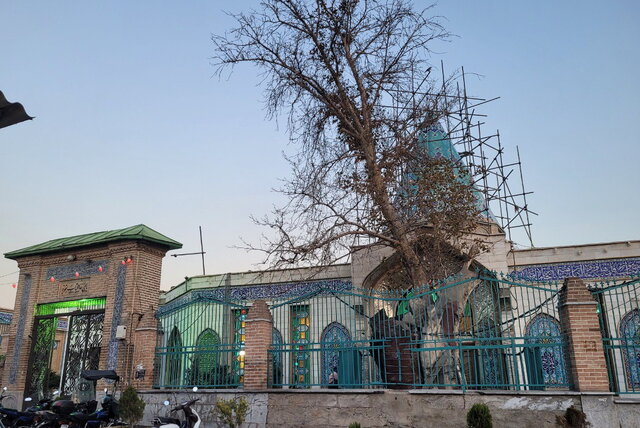 واکنش شهرداری به طرح توسعه امامزاده در بافت تاریخی تهران واکنش شهرداری به طرح توسعه امامزاده در بافت تاریخی تهران