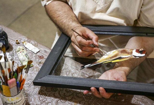 این پرندهها پشت شیشه زندگی میکنند