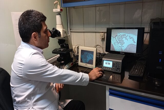 تبلیغات دروغین درمان اعتیاد با یک قرص در فضای مجازی/ برومولین، پروتئین مؤثر در ترمیم زخمها