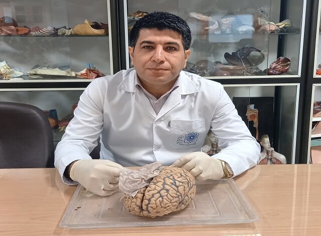 تبلیغات دروغین درمان اعتیاد با یک قرص در فضای مجازی/ برومولین، پروتئین مؤثر در ترمیم زخمها