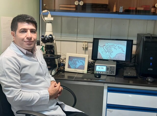 تبلیغات دروغین درمان اعتیاد با یک قرص در فضای مجازی/ بروملین، پروتئین مؤثر در ترمیم زخمها تبلیغات دروغین درمان اعتیاد با یک قرص در فضای مجازی/ بروملین، پروتئین مؤثر در ترمیم زخمها