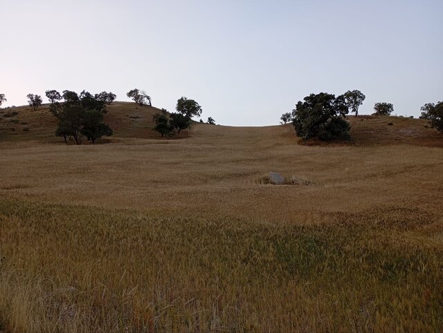 آشنایی با محوطه باستانی سراب «قجر» در ایلام آشنایی با محوطه باستانی سراب «قجر» در ایلام