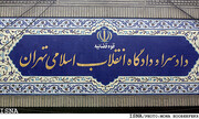 رسیدگی به پرونده کلاهبرداری یک شرکت مهاجرتی با حدود ۳۰۰ شاکی در دادسرای تهران