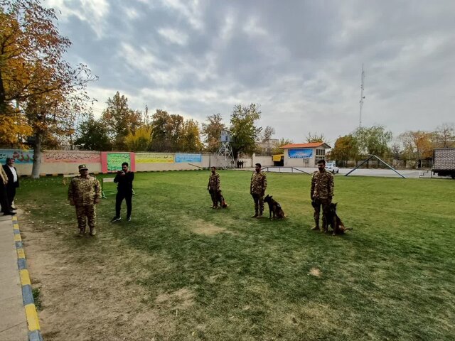 خودکفایی ایران در آموزش سگ‌های موادیاب