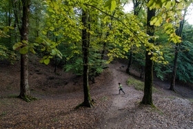 مرداب زیبای جعفر آباد در دل جنگلهای هیرکانی - استان گلستان