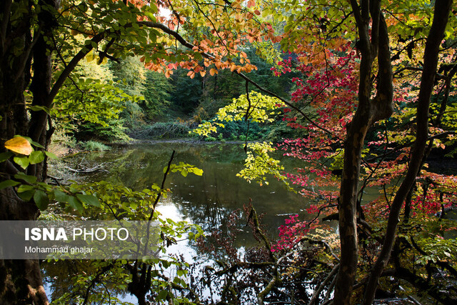 انتقاد سازمان منابع طبیعی از اجاره رودخانههای جنگلها