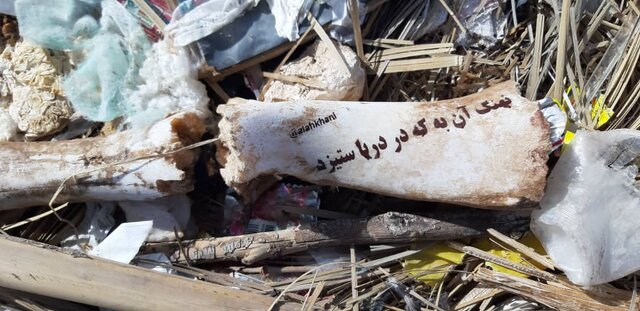 خلق هنر محیطی با زباله و استخوان!
