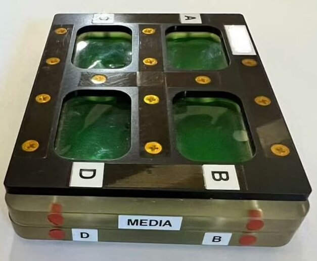 کشف درمان آلزایمر و پارکینسون با کمک مغزهای پرورشیافته در فضا