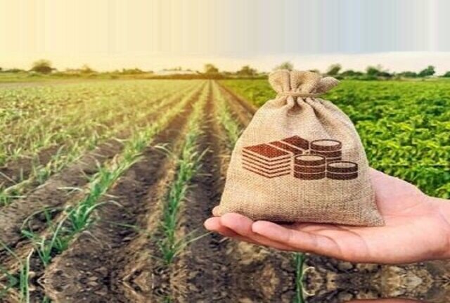 اقتصاد کشاورزی با خام فروشی محصول ضرر میکند اقتصاد کشاورزی با خام فروشی محصول ضرر میکند