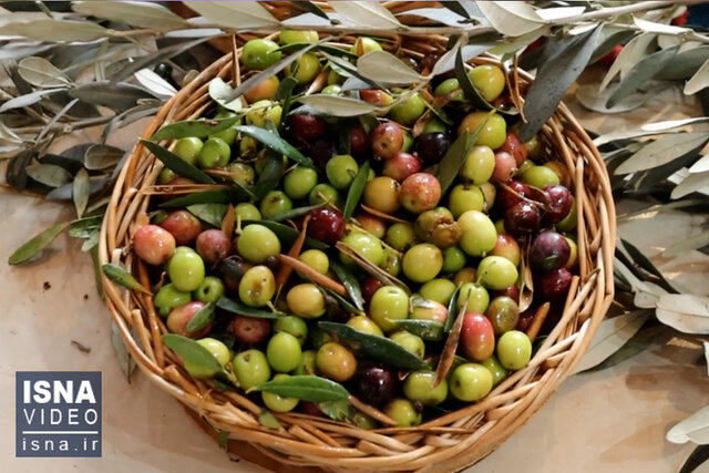 ویدیو/ همزمان با روز ملی زیتون؛ در جلسه بررسی مشکلات این حوزه چه گذشت؟ ویدیو/ همزمان با روز ملی زیتون؛ در جلسه بررسی مشکلات این حوزه چه گذشت؟