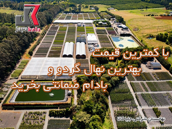 فرصت خرید نهال با قیمت پایین در جایا کالا رو به اتمام هست