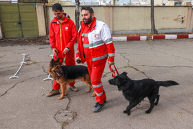 برگزاری مانور زلزله در مدارس زنجان