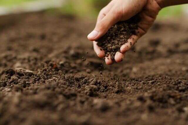 تلاشها برای حفاظت و بهرهبرداری پایدار خاک در ایلام  تلاشها برای حفاظت و بهرهبرداری پایدار خاک در ایلام
