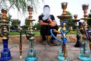 زنگ خطر جهانی برای قلیان؛ پژوهشگران به دنبال تشکیل کنسرسیوم بین‌المللی