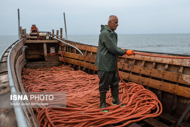 تولید ۱۰ هزار تُن ماهی در آببندانهای گیلان