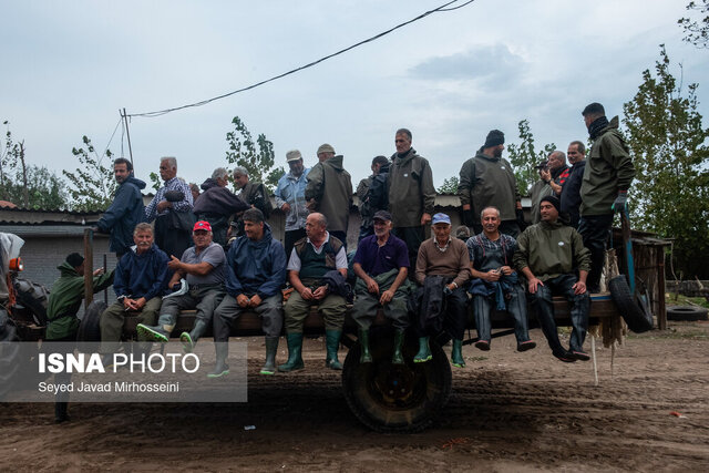 تولید ۱۰ هزار تُن ماهی در آببندانهای گیلان