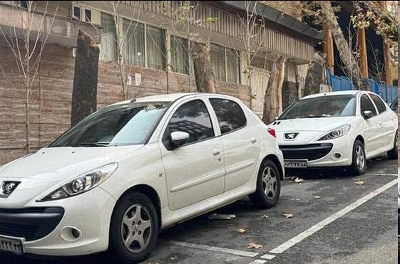 کیفرخواست متهم پرونده قطع درختان خیابان فرشته صادر شد کیفرخواست متهم پرونده قطع درختان خیابان فرشته صادر شد