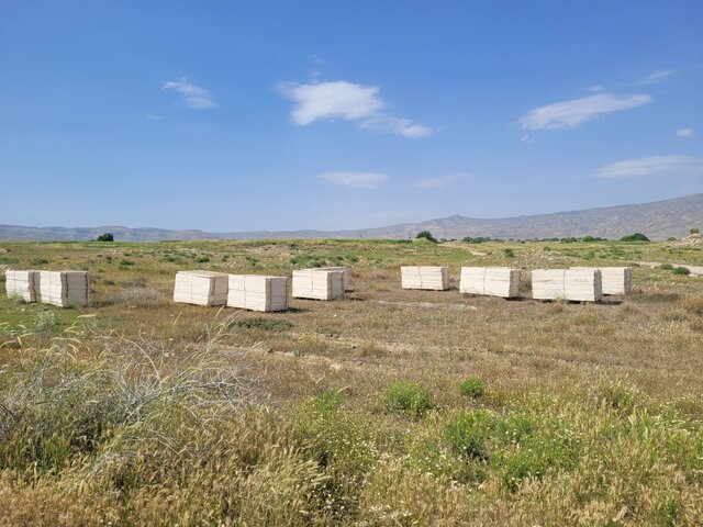 غبار از نخستین پایتخت ساسانیها کنار زده میشود؟