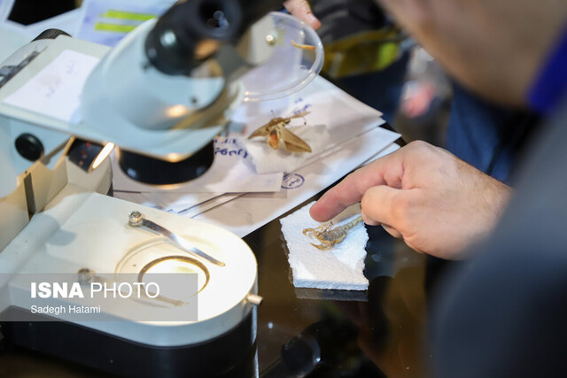 برخی بین پژوهشهای بنیادی و توسعهای تفکیک قائل نمیشوند برخی بین پژوهشهای بنیادی و توسعهای تفکیک قائل نمیشوند