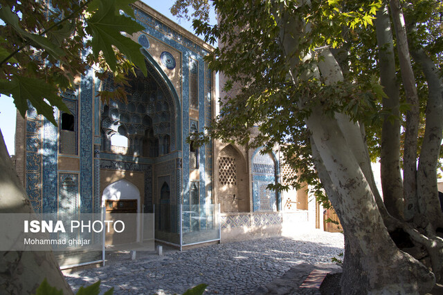 شهرستان نطنز خاستگاه درختان کهنسال