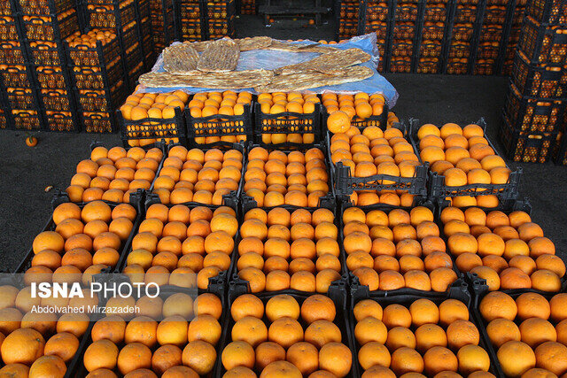 خرید ۱۵۰ تن پرتقال و ۸۰ تن سیب برای شب عید در کرمانشاه خرید ۱۵۰ تن پرتقال و ۸۰ تن سیب برای شب عید در کرمانشاه