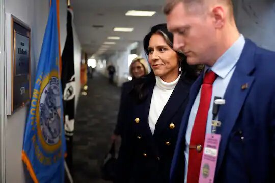 خانم تولسی گبرد تاثیر تحولات سوریه بر گزینه ترامپ برای اداره اطلاعات ملی