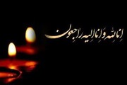 مادر شهید رضوی‌زادگان در جهرم به فرزند شهیدش پیوست 