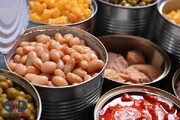 با وجود خریدهای هیجانی کنسرو، کمبودی در زمان جنگ نداشتیم/ تامین ماهی چالش اصلی تولید