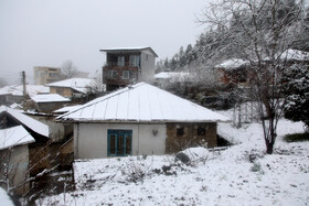 بارش برف در شهرستان سوادکوه