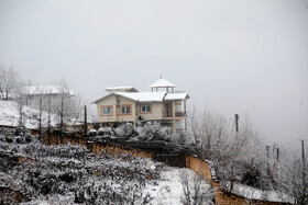 بارش برف در شهرستان سوادکوه