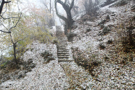 بارش برف در شهرستان سوادکوه