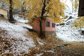 بارش برف در شهرستان سوادکوه