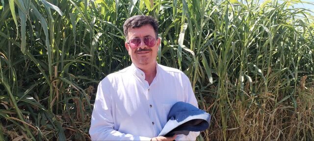 عکس تزئینی است چالشهای کشاورزان ورامین در کشت محصولات استراتژیک؛ بررسی مشکلات و راهکارها