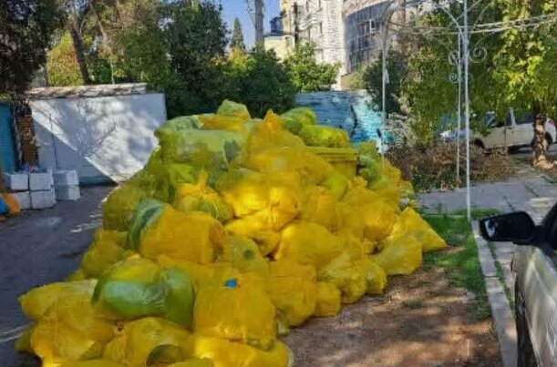 عکس تزئینی است وقوع بحران محیط زیستی در صورت جمع نشدن پسماندهای عفونی مراکز درمانی شیراز