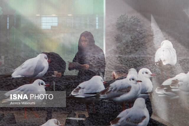 عکس تزئینی است. هر «زن» سفیر و صدای رسای محیط زیست در جامعه و خانواده است