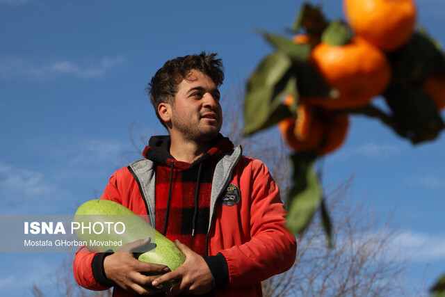 عکس تزیینی است مناظره بر سر موضوعات اقتصادی و مطالبات مردم + ویدئو