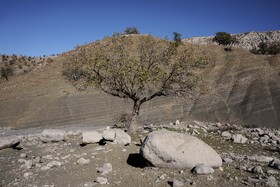 دهستان احمدفداله از توابع شهرستان دزفول