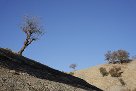 دهستان احمدفداله از توابع شهرستان دزفول