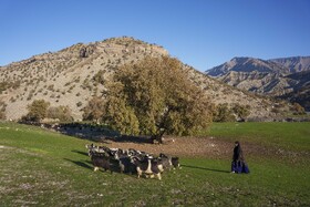 دهستان احمدفداله از توابع شهرستان دزفول